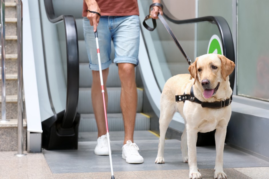 how guide dogs help people with vision loss
