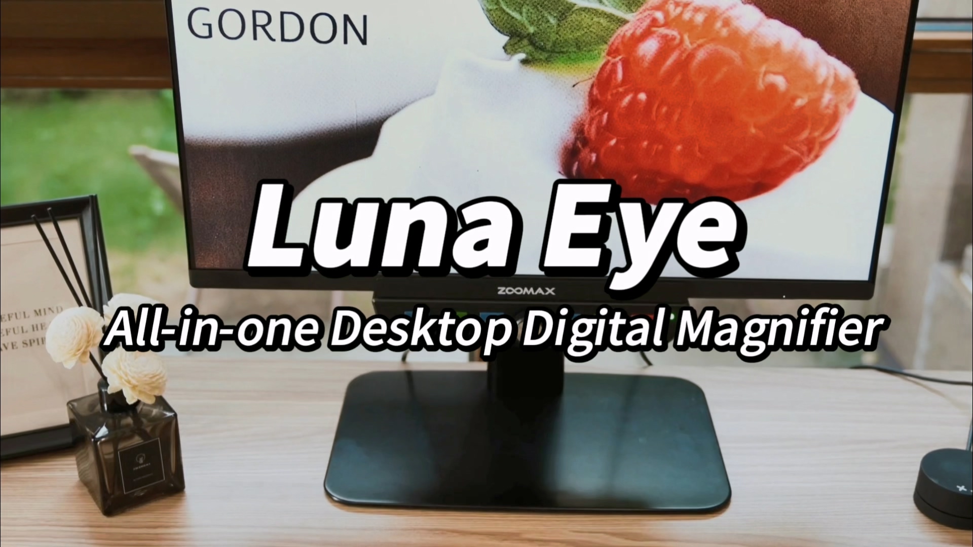 Luna Eye All in one Desktop Digital Magnifier