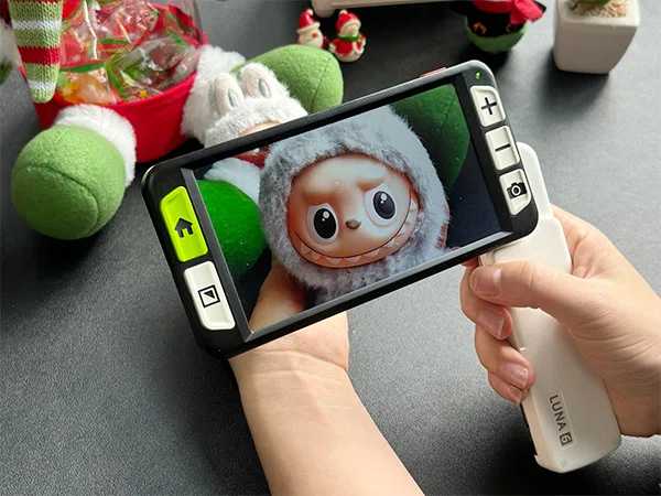 Luna 6 with Labubu Christmas Gifts shopping